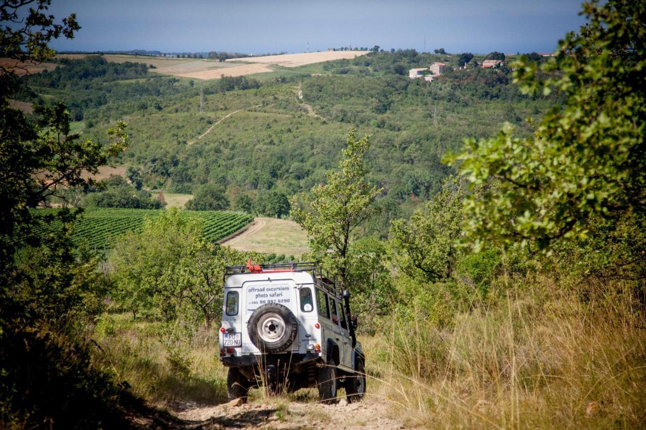 Al Merlo Olivo, Rural Istrian House Buje Exteriér fotografie
