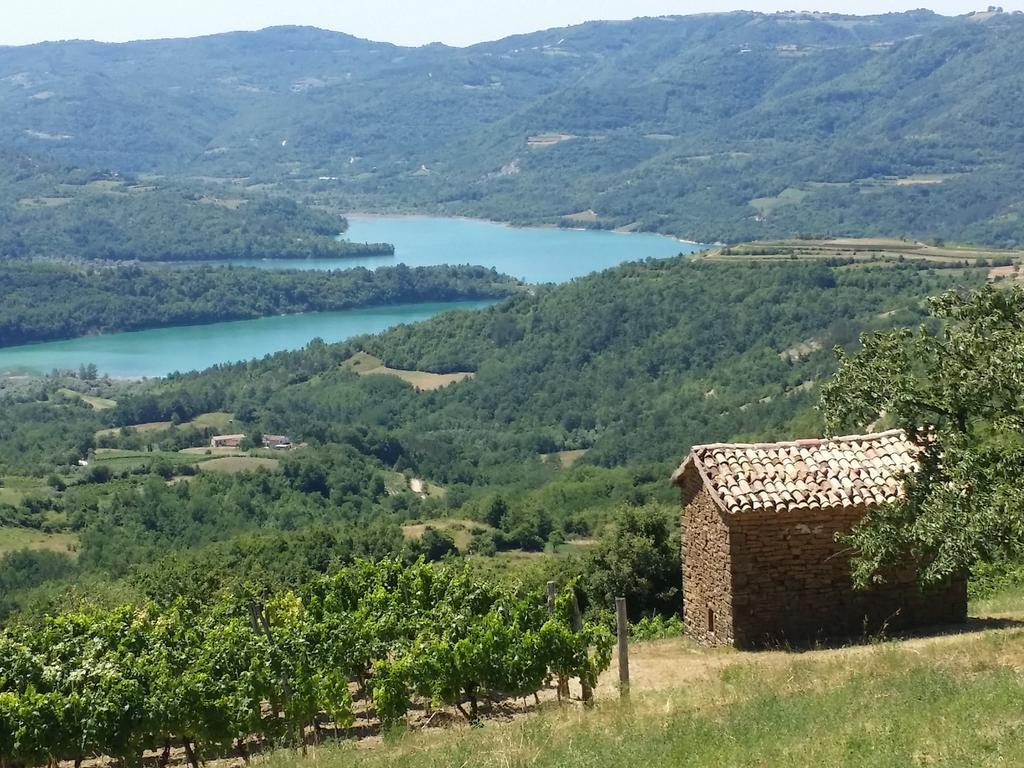 Al Merlo Olivo, Rural Istrian House Buje Exteriér fotografie