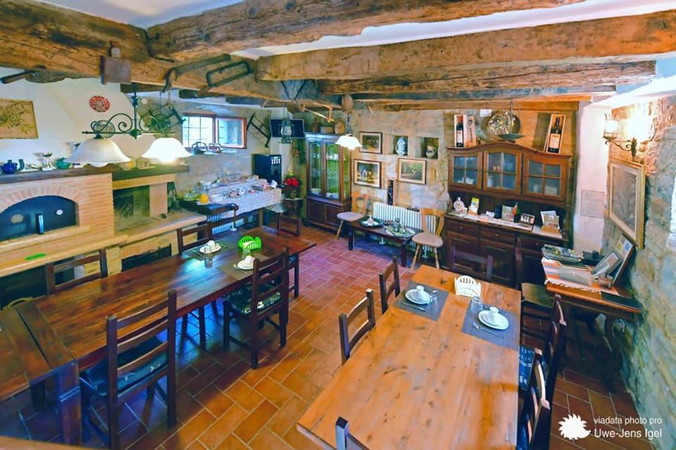 Al Merlo Olivo, Rural Istrian House Buje Exteriér fotografie