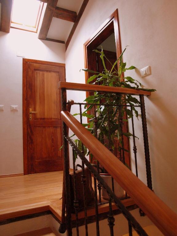 Al Merlo Olivo, Rural Istrian House Buje Exteriér fotografie