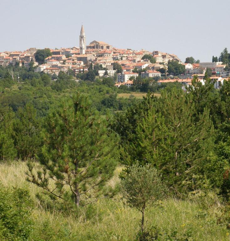 Al Merlo Olivo, Rural Istrian House Buje Exteriér fotografie