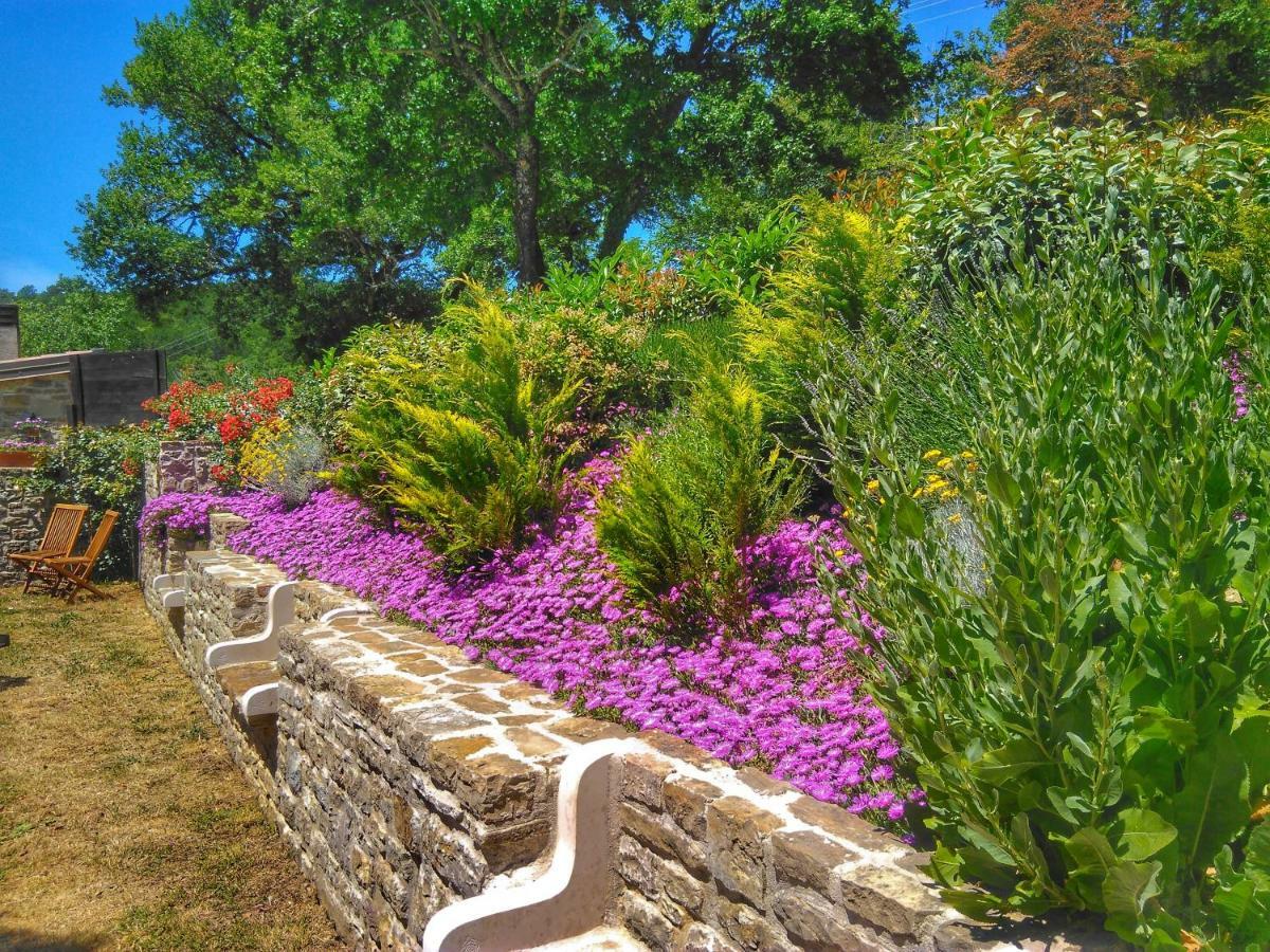 Al Merlo Olivo, Rural Istrian House Buje Exteriér fotografie