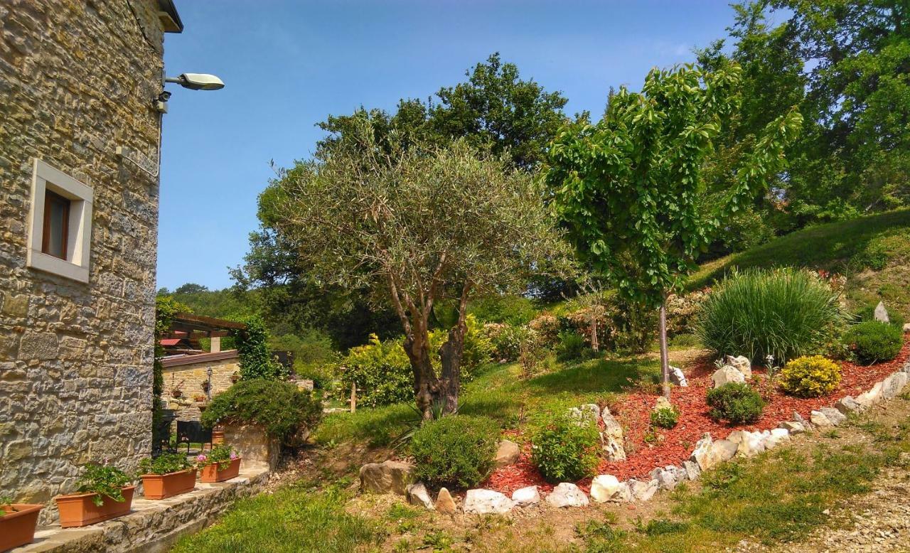 Al Merlo Olivo, Rural Istrian House Buje Exteriér fotografie