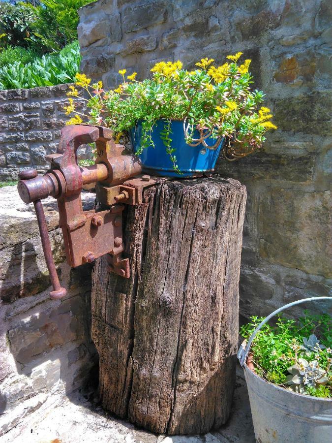 Al Merlo Olivo, Rural Istrian House Buje Exteriér fotografie