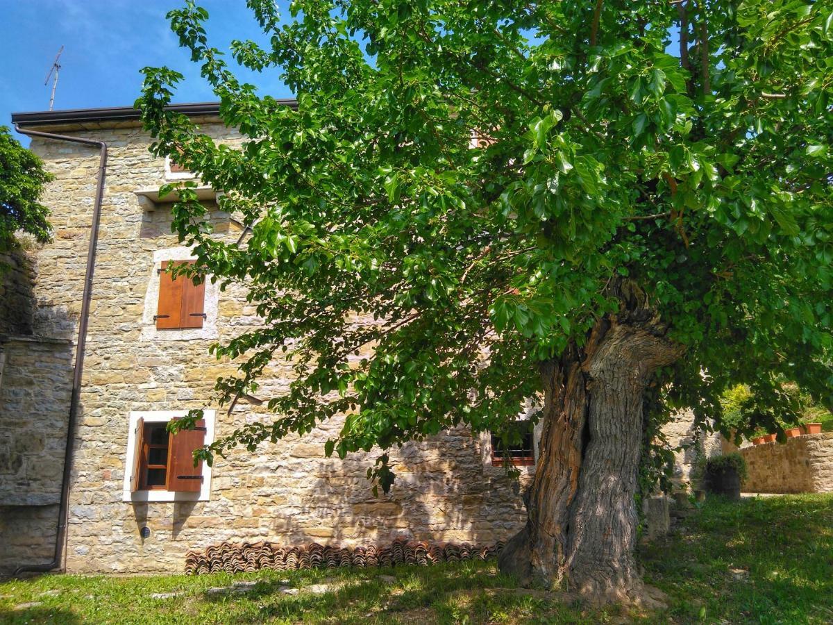 Al Merlo Olivo, Rural Istrian House Buje Exteriér fotografie
