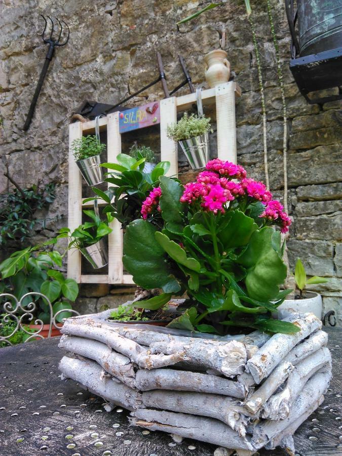 Al Merlo Olivo, Rural Istrian House Buje Exteriér fotografie