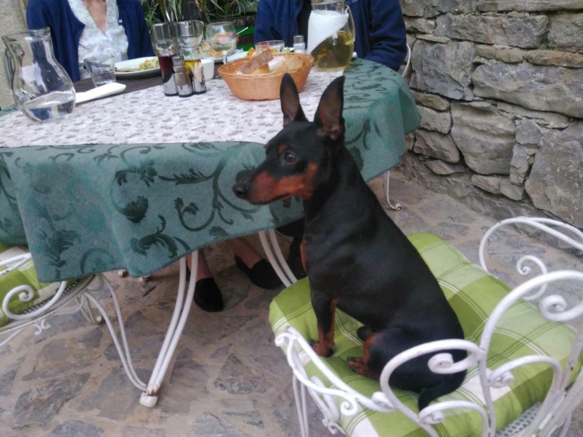 Al Merlo Olivo, Rural Istrian House Buje Exteriér fotografie