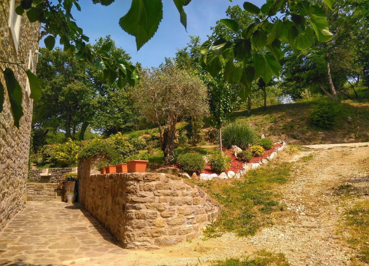 Al Merlo Olivo, Rural Istrian House Buje Exteriér fotografie